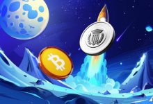 best-under-the-radar-pick-for-altcoin-diversification-according-to-whale-data-in-august-2025