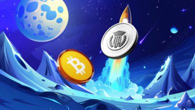 best-under-the-radar-pick-for-altcoin-diversification-according-to-whale-data-in-august-2025