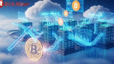 mine-with-ease-rich-miner-helps-bitcoin-holders-get-a-daily-income.