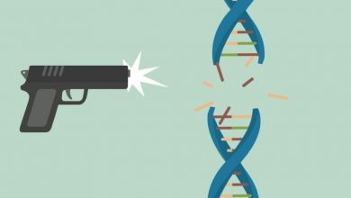mental-health-and-gun-violence:-the-importance-of-early-intervention